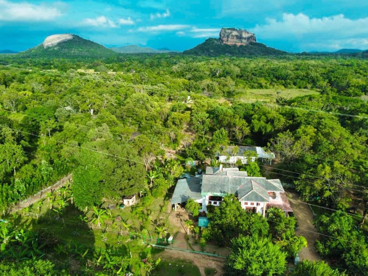 Sinhagiri Villa Sigiriya Exteriör bild