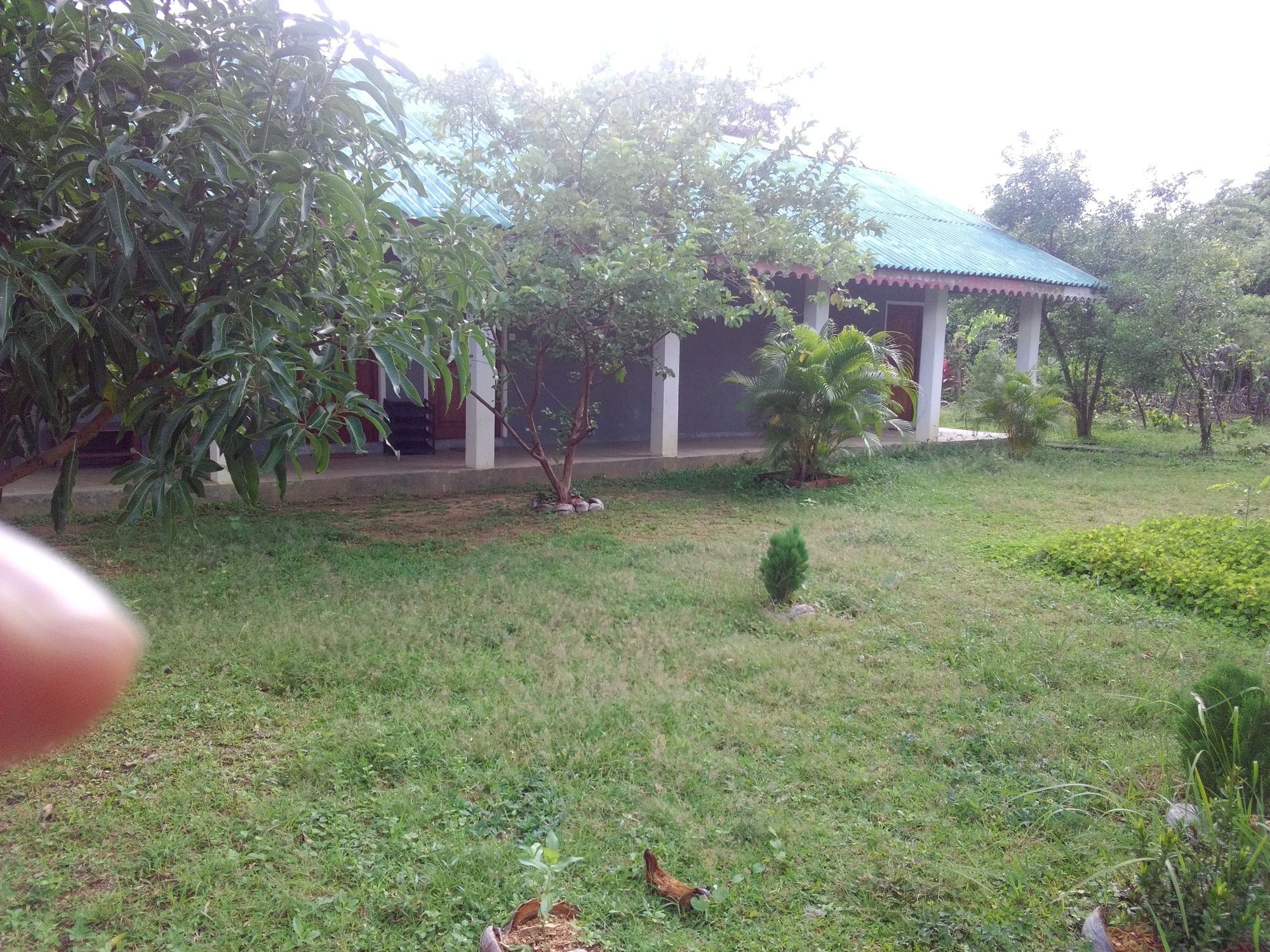Sinhagiri Villa Sigiriya Exteriör bild