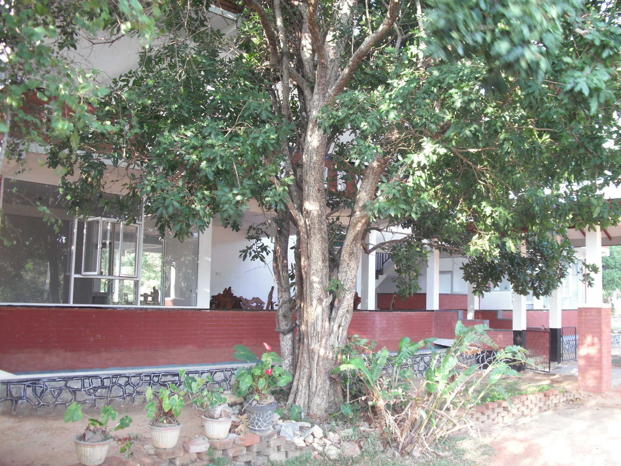 Sinhagiri Villa Sigiriya Exteriör bild